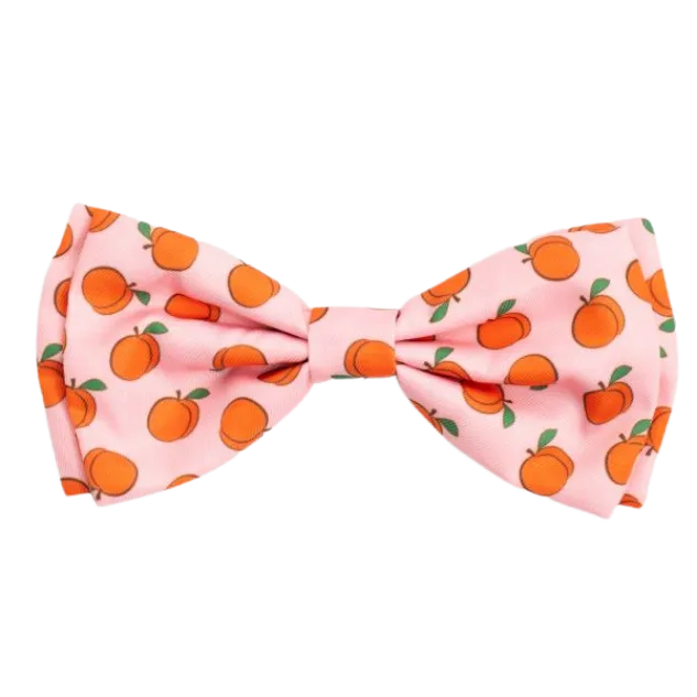 Bow Tie | Peachy Keen