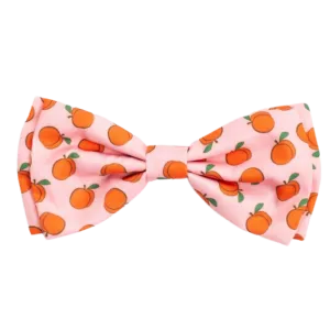 Bow Tie | Peachy Keen